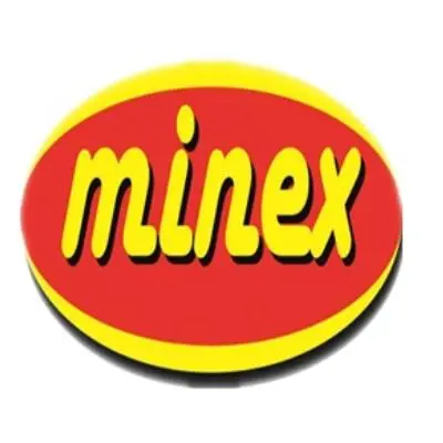 Минекс Гроуп лого