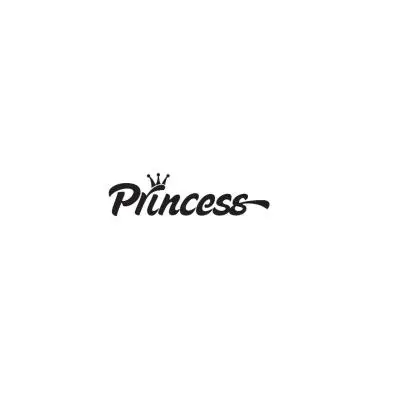 Салон за убавина Princess лого