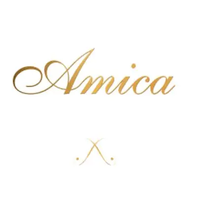Ресторан Амика лого