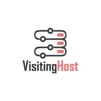 ВИЗИТИНГ ИНФО ДОО лого