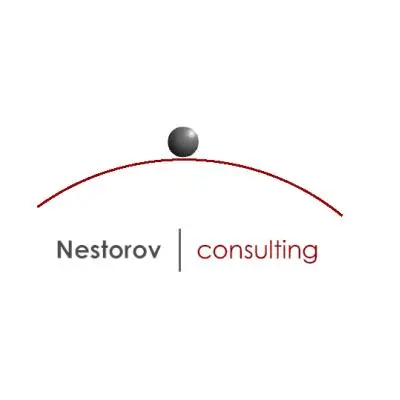 НЕСТОРОВ КОНСАЛТИНГ лого