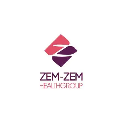 ZEM-ZEM лого
