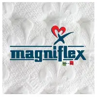 IDream Concept - Magniflex лого