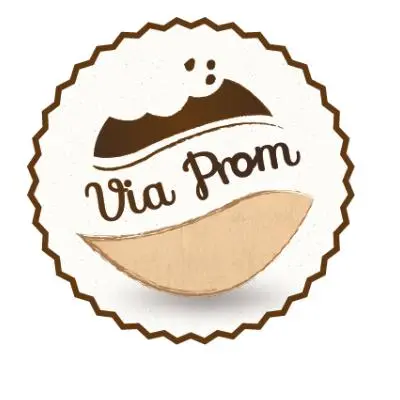Виа Пром лого