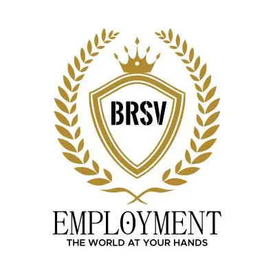 BRSV Employment Skopje лого