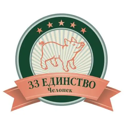ЗЗ ЕДИНСТВО лого