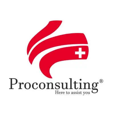 Pro Consulting лого