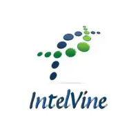 IntelVine лого
