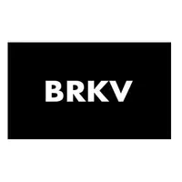 BRKV TECH лого