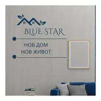 Blue star real estate лого