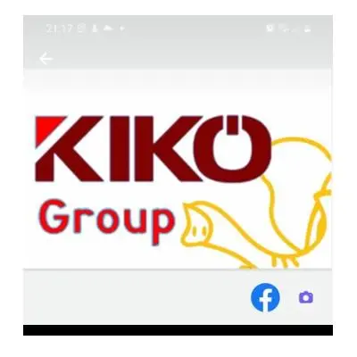 Кико Груп Дооел лого